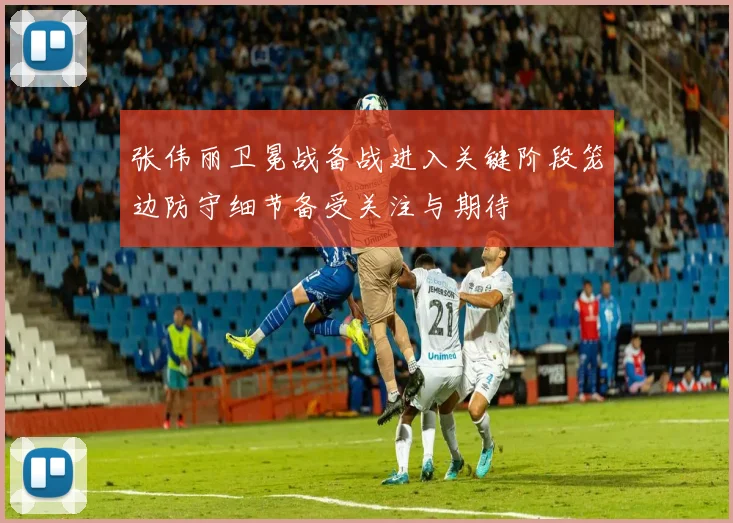张伟丽卫冕战备战进入关键阶段笼边防守细节备受关注与期待